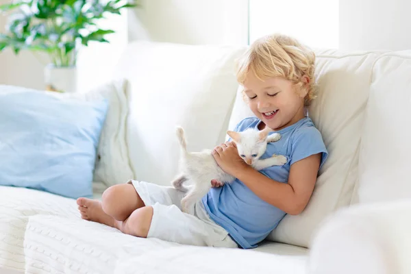 Enfant jouant avec bébé chat. Enfant et chaton . — Photo