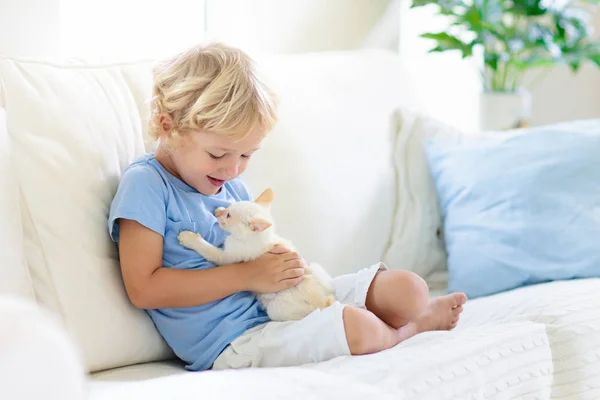 Ребенок играет с кошкой. Малыш и котенок . — стоковое фото