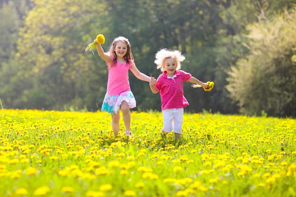 Os miúdos brincam. Criança no campo de dente-de-leão. Flor de verão — Fotografia de Stock