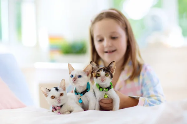 Criança brincando com bebê gato. Criança e gatinho . — Fotografia de Stock