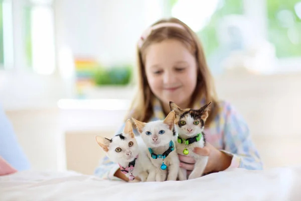 아기 고양이와 놀고있는 아이. 아이와 새끼 고양이. — 스톡 사진