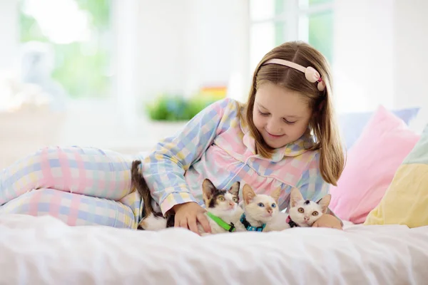 Niño jugando con gato bebé. Niño y gatito . —  Fotos de Stock