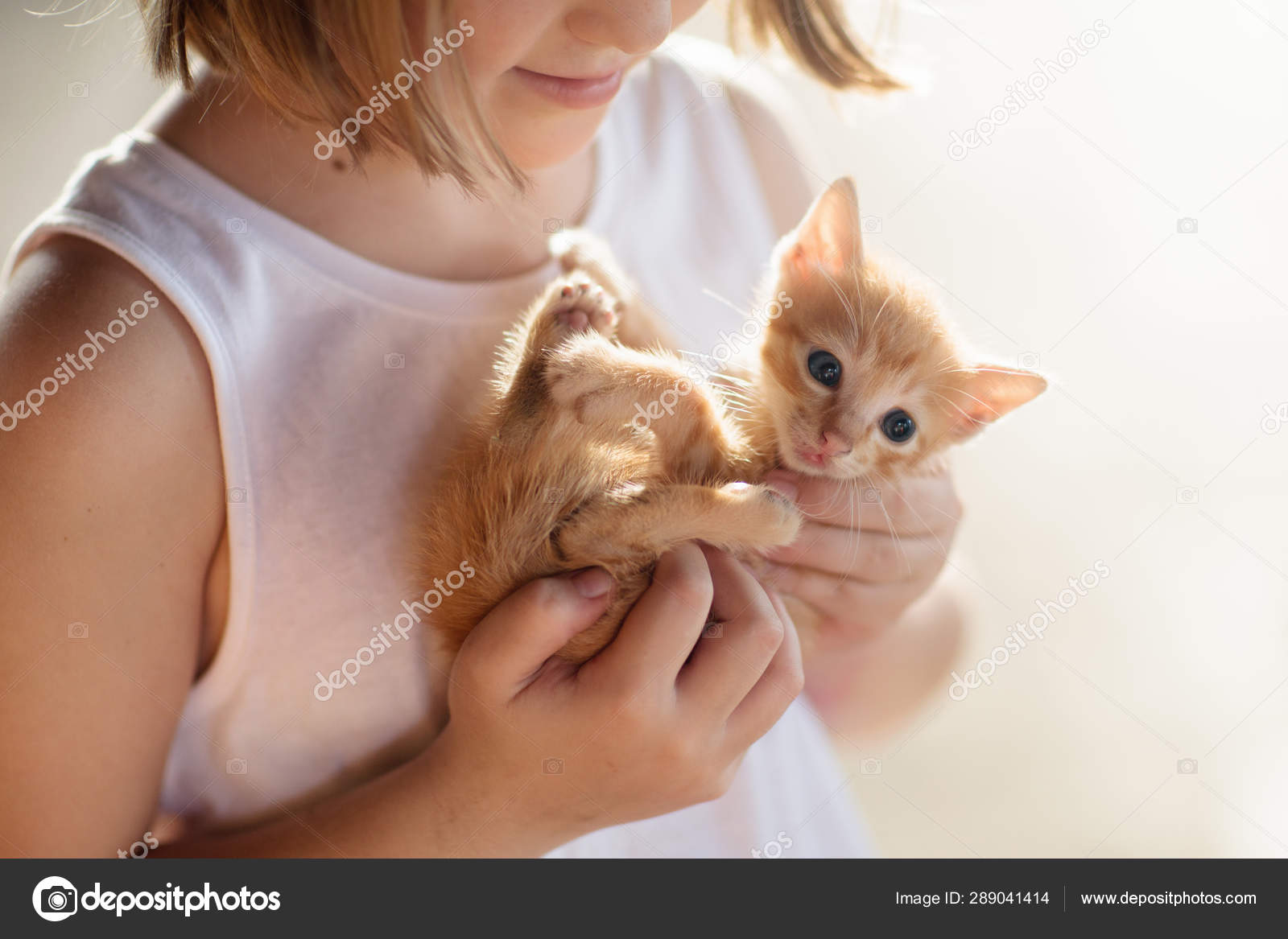 Petite Fille Tenant Un Bebe Chat Enfants Et Animaux Domestiques Image Libre De Droit Par Famveldman C