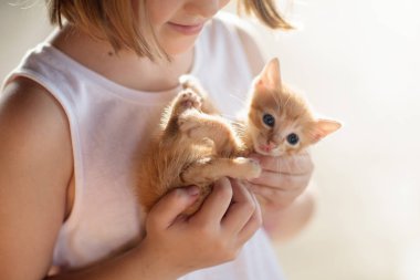 Küçük kız, Bebek kedisi tutuyor. Çocuklar ve evcil hayvanlar