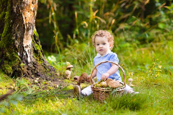 Mała dziewczynka zbieranie grzybów w parku jesień — Zdjęcie stockowe