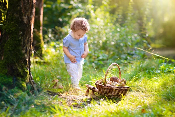 Kleines Mädchen sammelt Pilze im Herbstpark — Stockfoto