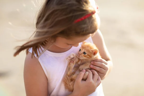 Little girl holding baby cat. Kids and pets — Stock Photo, Image