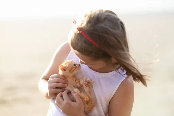 Девочка держит котенка. Дети и домашние животные — стоковое фото