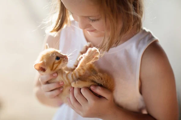 Little girl holding baby cat. Kids and pets — Stock Photo, Image