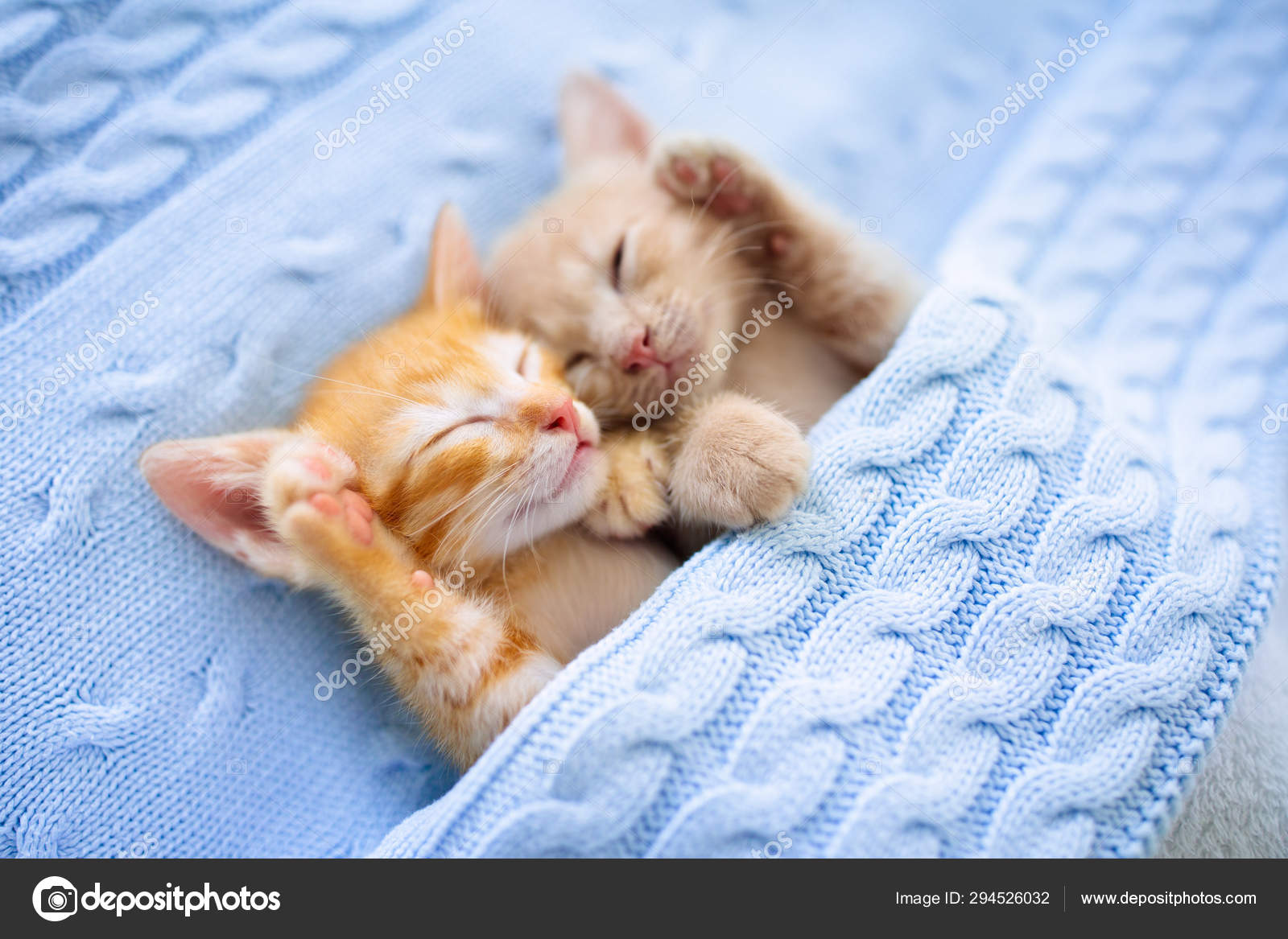 Baby Ginger kitten sleeping under blanket — Stock Photo