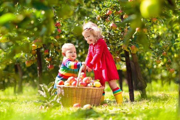Sonbaharda çiftlikte elma toplayan çocuklar. — Stok fotoğraf
