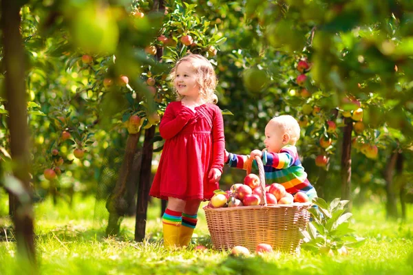 Niños recogiendo manzanas en la granja en otoño . —  Fotos de Stock