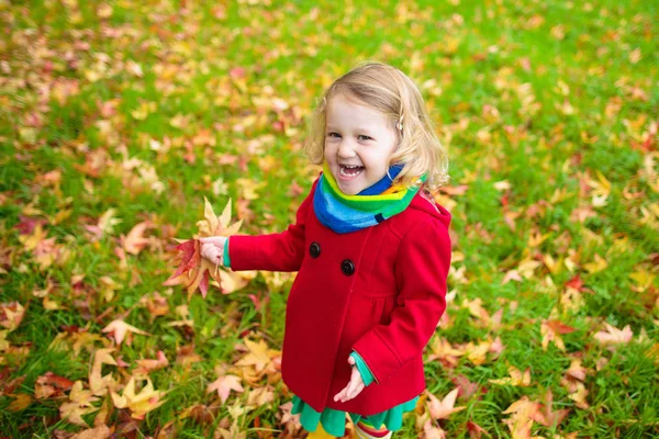 가을에 단풍 나무 잎을 가지고 노는 어린 소녀 — 스톡 사진
