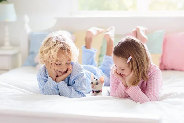 Kids play with baby cat. Child and kitten in bed. — Stock Photo, Image