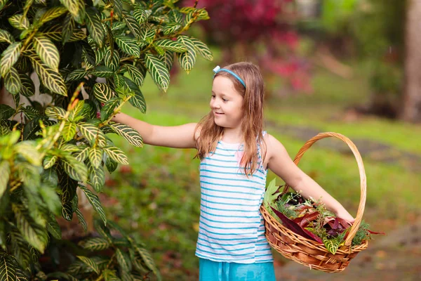 Cueillette d'enfants feuilles d'automne colorées dans le panier . — Photo