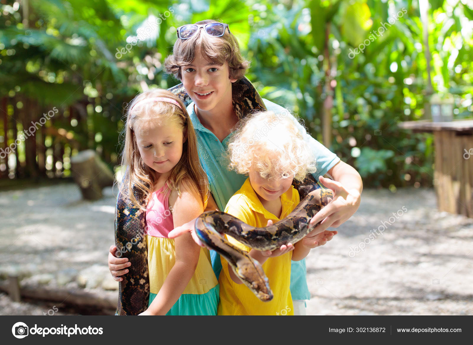 Kids hold python snake at zoo. Child and reptile. Stock Photo by ...