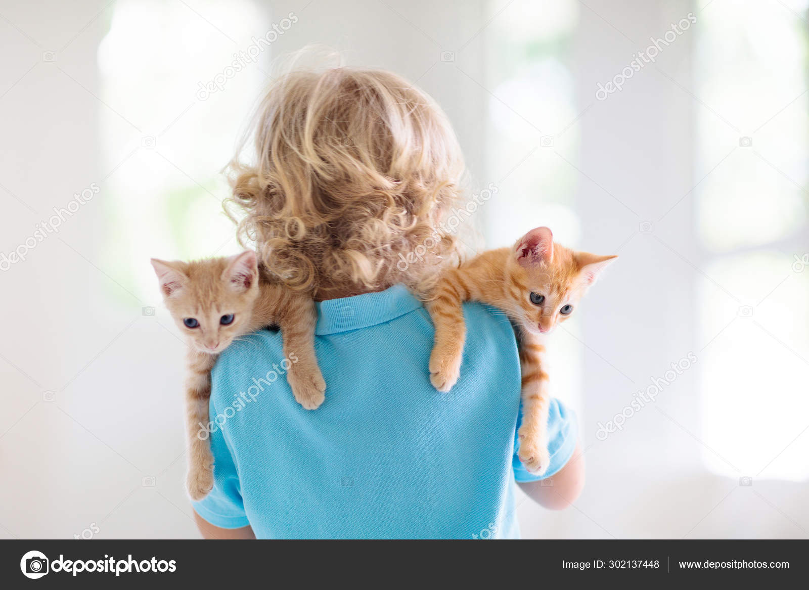 Un Petit Enfant Tenant Un Bebe Chat Enfants Et Animaux Domestiques Image Libre De Droit Par Famveldman C