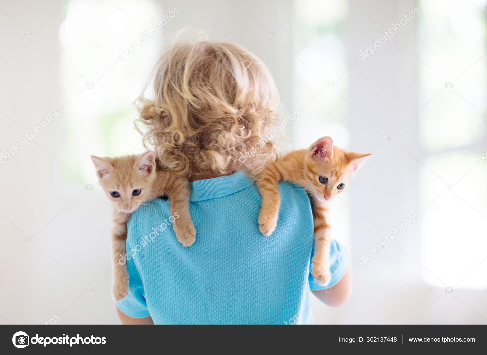 Un Petit Enfant Tenant Un Bebe Chat Enfants Et Animaux Domestiques Image Libre De Droit Par Famveldman C Un Petit Enfant Tenant Un Bebe Chat Enfants Et Animaux Domestiques Image Libre De Droit Par Famveldman C