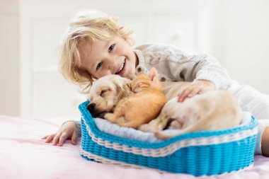 Çocuk, köpek ve kedi. Çocuklar köpek yavrusu, kedi yavrusu ile oynamak.