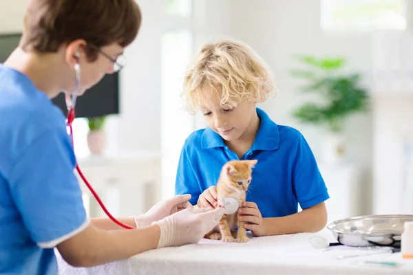 Vet avec chat. Chaton chez le médecin vétérinaire . — Photo