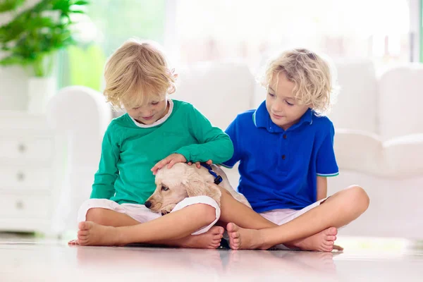 Niño jugando con el perro. Los niños juegan con el cachorro . — Foto de Stock