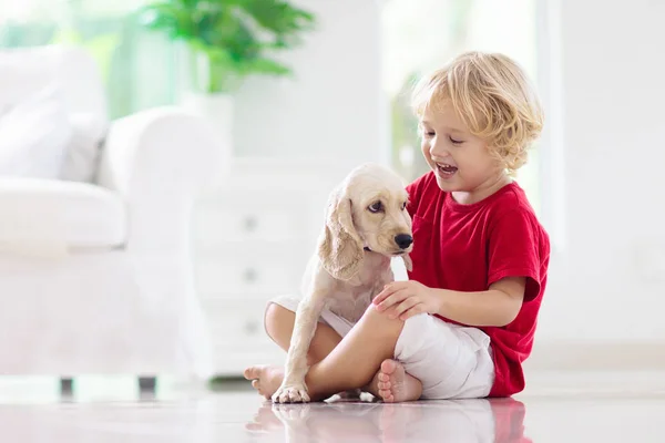 Niño jugando con el perro. Los niños juegan con el cachorro . —  Fotos de Stock