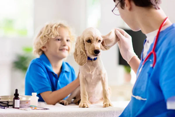 개와 수의사. 수의사에서 강아지. — 스톡 사진