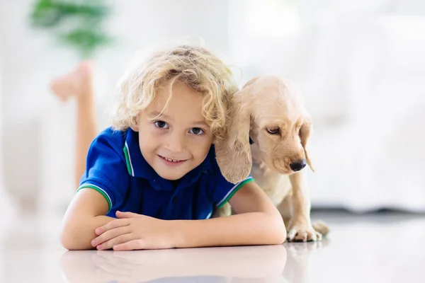 Ребенок играет с собакой. Дети играют с щенком . — стоковое фото