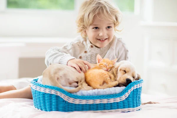 子供、犬、猫子供たちは子犬、子猫と遊ぶ. — ストック写真