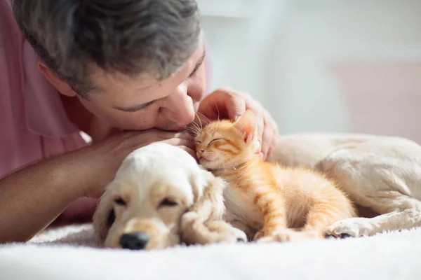 Kedi ve köpek uyuyor. Köpek yavrusu ve yavru uyku. — Stok fotoğraf