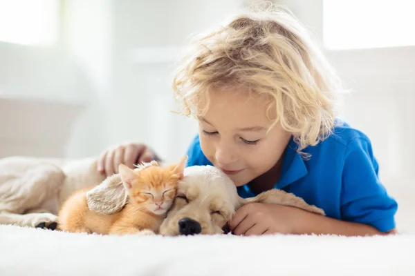 Niño, perro y gato. Los niños juegan con el cachorro, gatito . —  Fotos de Stock