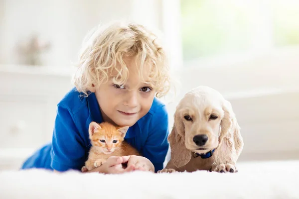Child, dog and cat. Kids play with puppy, kitten. — Stock Photo, Image