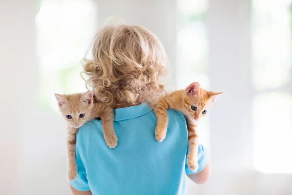 Little child holding baby cat. Kids and pets — Stock Photo, Image