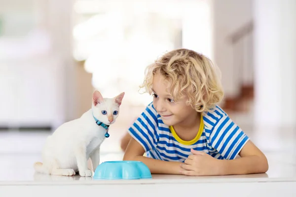 Little child holding baby cat. Kids and pets — Stock Photo, Image