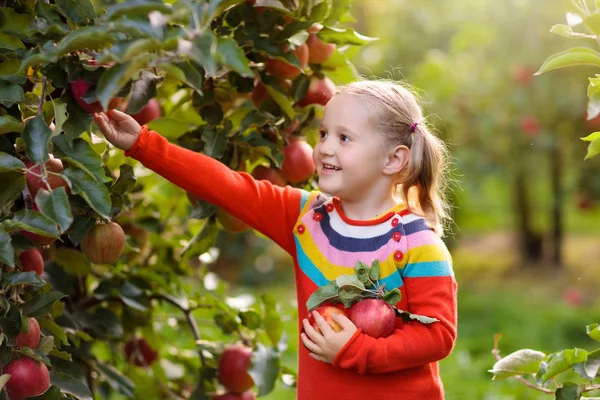 Gadis kecil memetik apel di kebun buah — Stok Foto