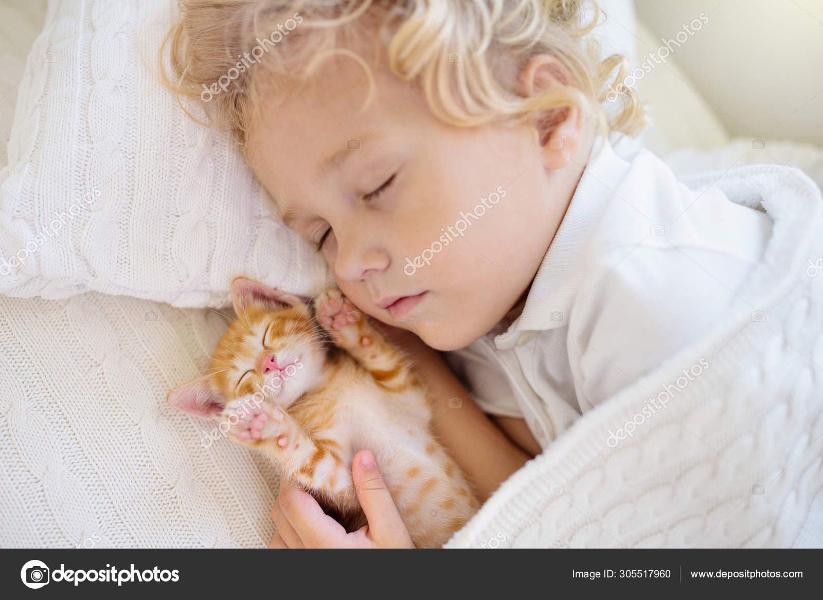 Baby boy sleeping with kitten. Child and cat. Stock Photo by
