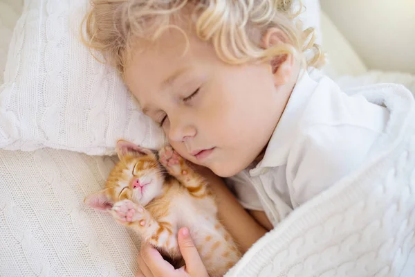 Baby Boy alszik kiscicával. Gyermek-és macskaeledel. — Stock Fotó