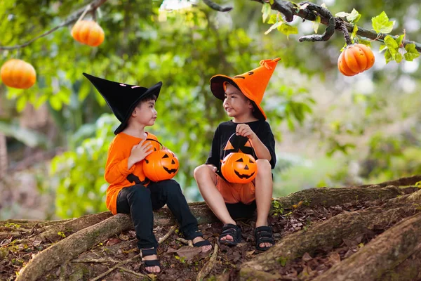 Asiáticos niños con calabazas en disfraces de Halloween . — Foto de Stock