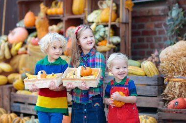 Çocuklar eğleniyor kabak yama