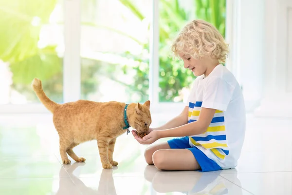 子供が家の猫に餌を与える。子供とペット. — ストック写真