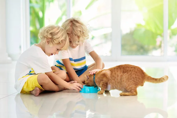 Ev kedisi besleyen çocuk. Çocuklar ve evcil hayvanlar. — Stok fotoğraf
