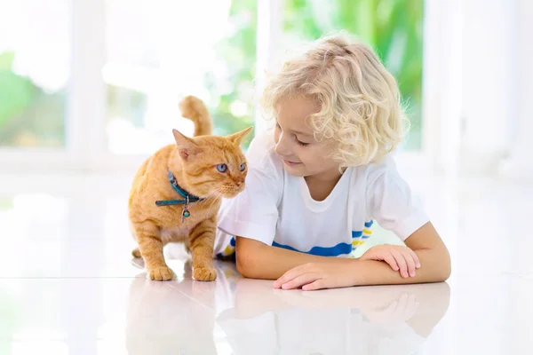 Child feeding home cat. Kids and pets. — Stock Photo, Image