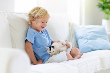 Bebek kediyle oynayan çocuk. Çocuk ve kedi yavrusu.