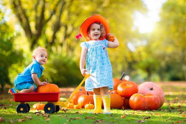Barnen har roligt på pumpkin patch — Stockfoto