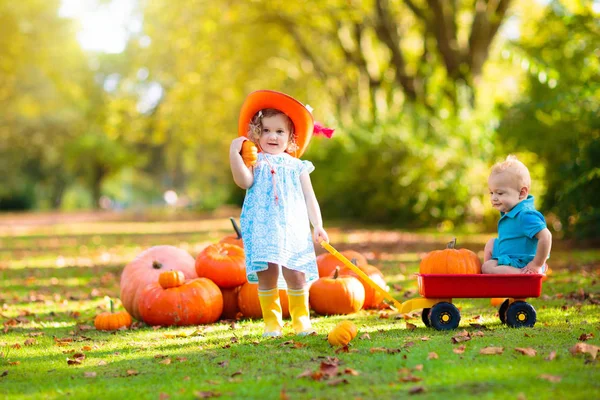 Barnen har roligt på pumpkin patch — Stockfoto