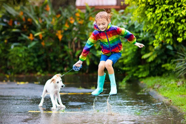 Kid and dog playing in the rain in autumn park. Child walking puppy. Little boy jumping in muddy puddle on rainy fall day. Rain boots and jacket, outdoor wear. Kids waterproof footwear and coat.