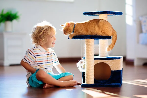 Dziecko Bawiące Się Kotem Domu Dzieci Zwierzęta Mały Chłopiec Karmienia — Zdjęcie stockowe