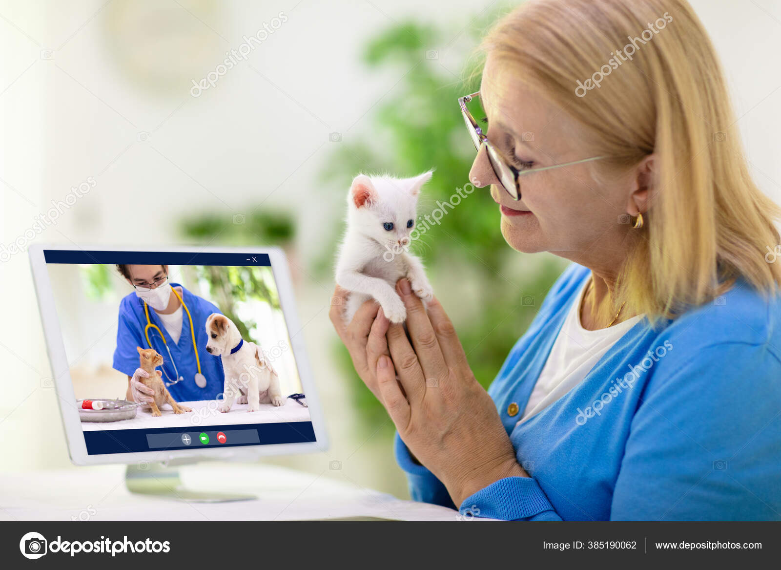 Online Consultation Veterinarian Vet Examining Animal Video Chat Cat Check  Stock Photo by ©FamVeldman 385190062