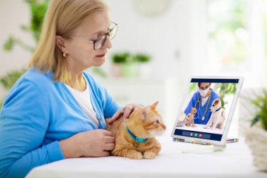 Veterinerle çevrimiçi danışmanlık. Veteriner görüntülü sohbet yoluyla hayvanı inceliyor. Karantina sırasında kedi kontrolü. Veteriner doktor, evcil hayvanı konferans çağrısında kontrol ediyor. Uzaktan ilaç ve acil yardım.