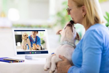 Veterinerle çevrimiçi danışmanlık. Veteriner görüntülü sohbet yoluyla hayvanı inceliyor. Karantina sırasında köpek kontrolü. Veteriner doktor, evcil hayvanı konferans çağrısında kontrol ediyor. Uzaktan ilaç ve acil yardım.